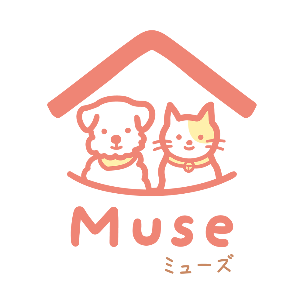 toutou service